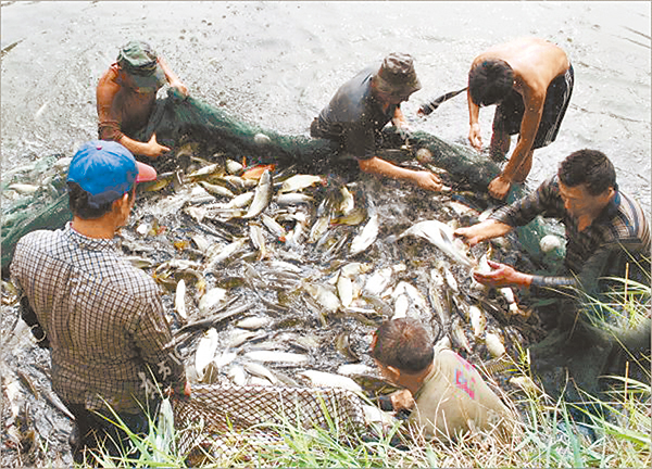 c62094bd0776e33221f40a12c8b6262e