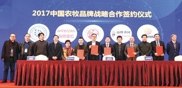 1d248e6d42a28312666040a5d716a85b