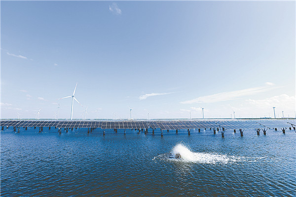 ad1589debb5acf1bd64d184ecc779a2d