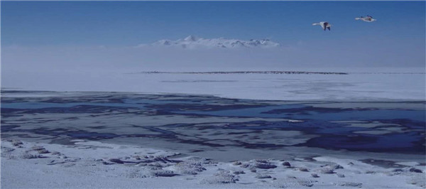 d90c87dfa86bd3b8cb89b92e88572763