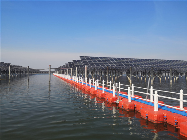 08c13cc3473c70cf1727b2b2a9f9fbed