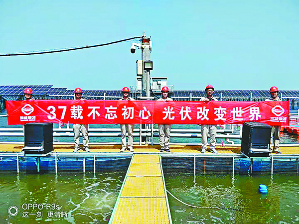 732b18065d2b35b36467b914744e051e