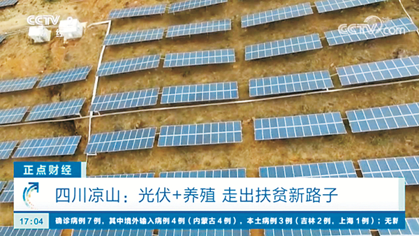 bff4cf01edee3886bf6ade9bb2537bcc