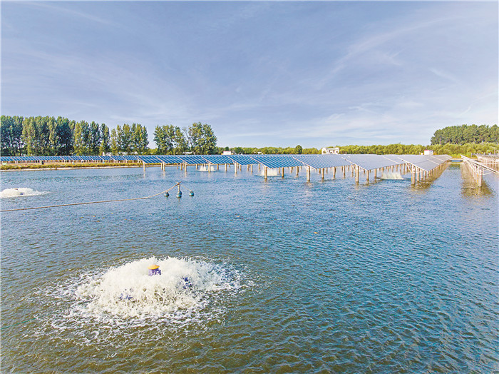 8e794c17f20f2b5fa50fba78ad965873