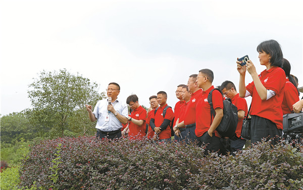 9a4a1187a4cfdb0c65b100f65c59edb2