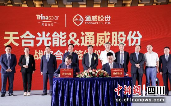 31c565efc02eb7c030a52df6e755c091