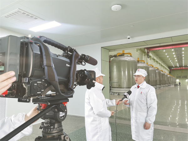 31eb2e7c540ea62aad06827380784ba6