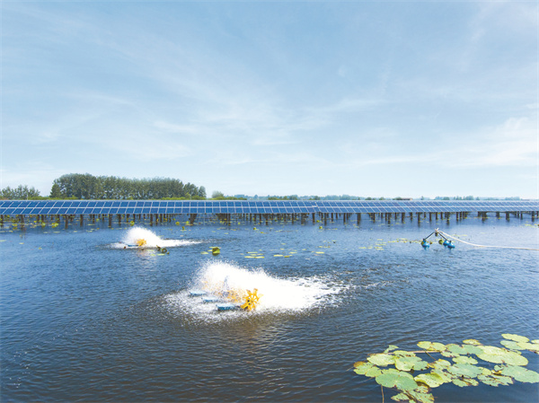 85b973c46afeb0b170392b0fb5a445f8