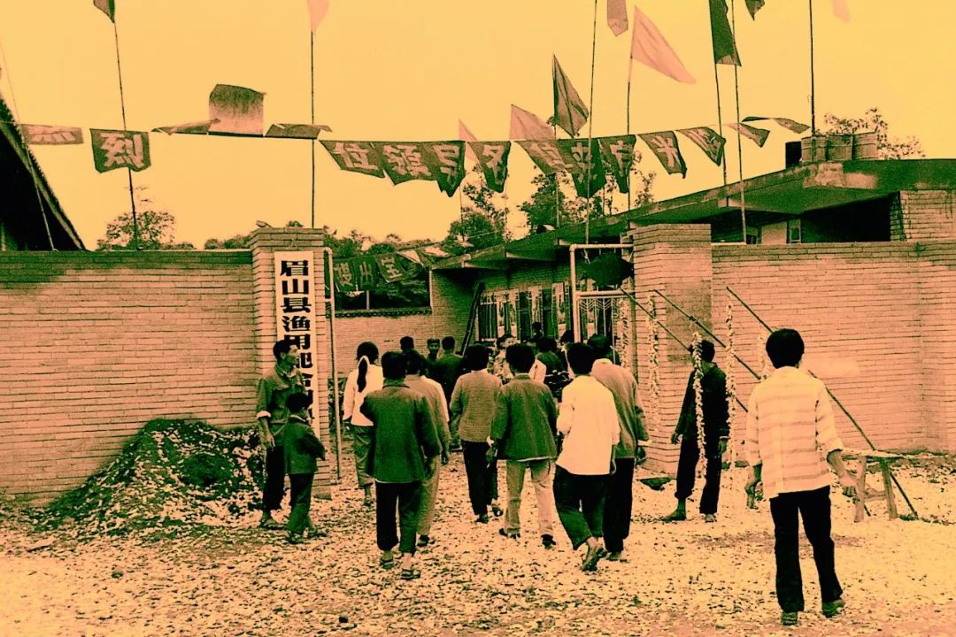 亚洲必赢国际·437ccm(中国区)官方网站