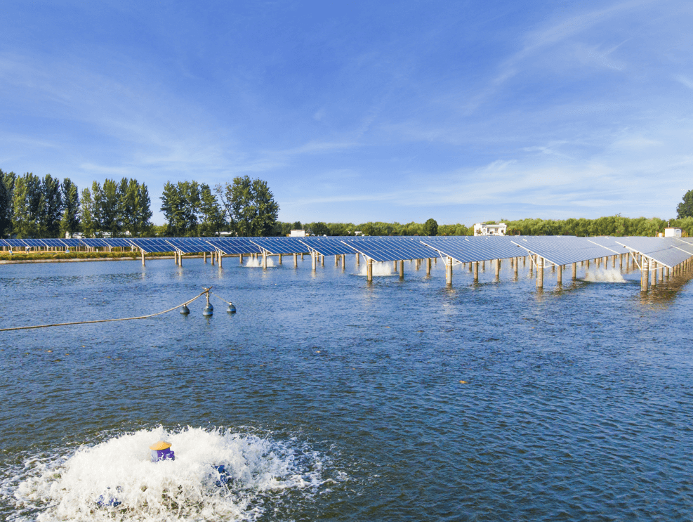 70fc2ddc9e4d271dfbb53a1497eeac60