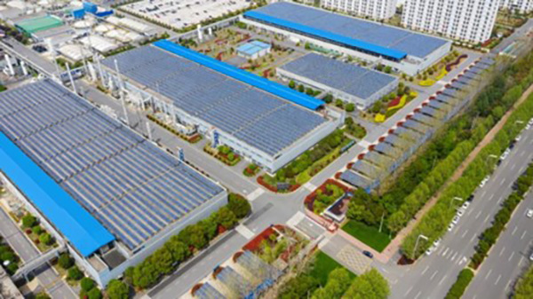 3019955f94bad77a4655ee00261c066a