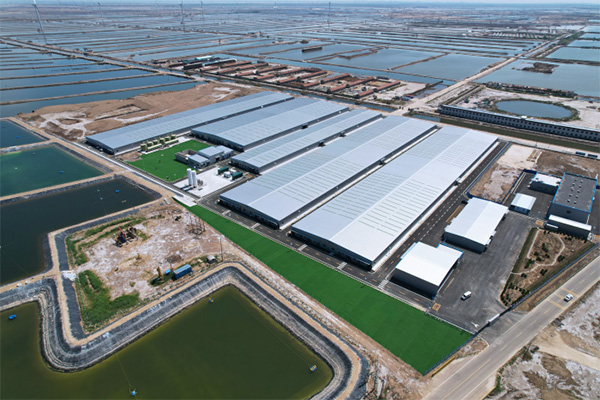 1897b71d1f09aaef779ab33b6a910f57