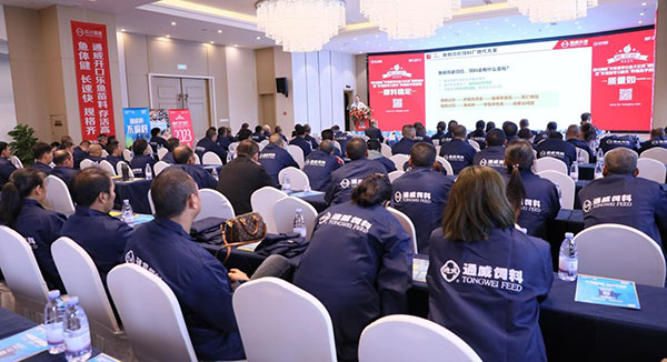 db40386c95d9fe76035481013521c019