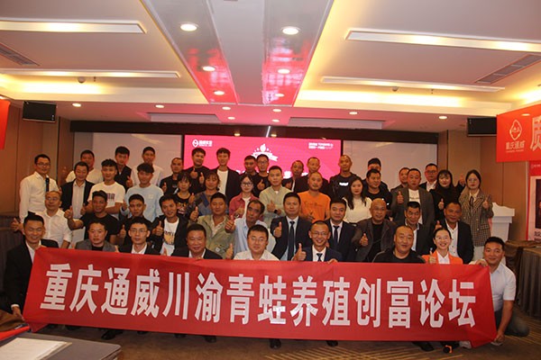 dd3fa67f7ca4d49b3b7ff906fc12eda2