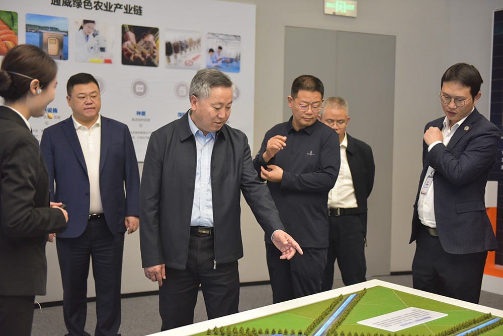 d4e645dc2566a08ddd84675b74045ee3