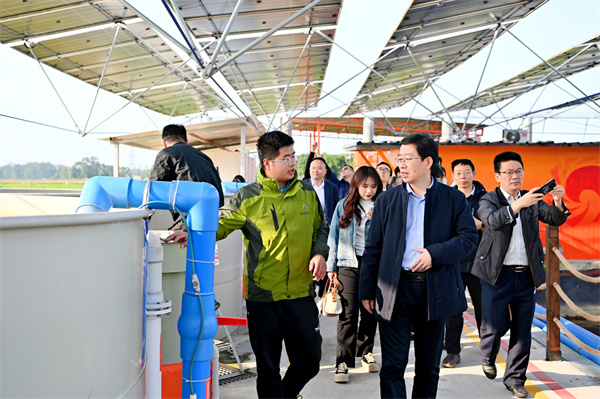 3d4e846d5b2b18baa085b3c2eb9d7796