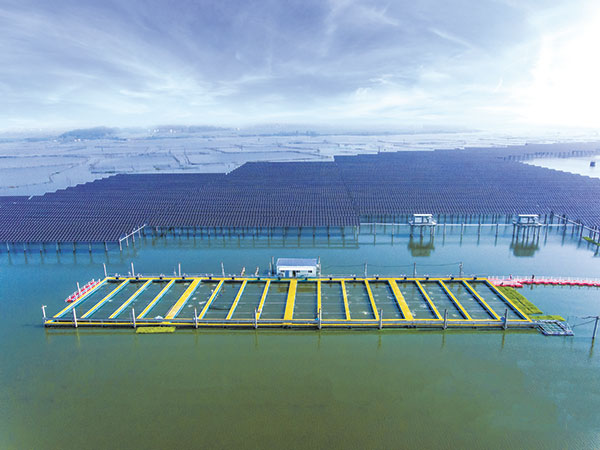 ee74bb4265e5bcddc0cfb2e3968c89b3