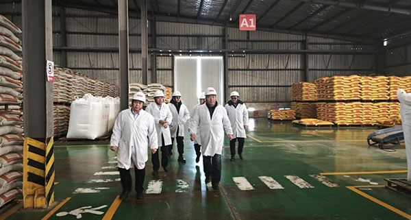 33b5da4c0f5dd90e275d581c0c261eaa