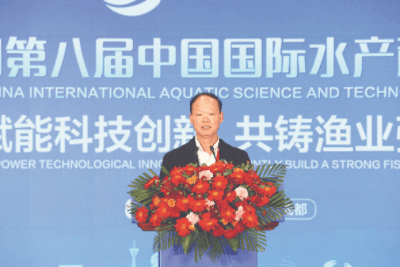 85c8f99d20cff1890333e4eabd721d81