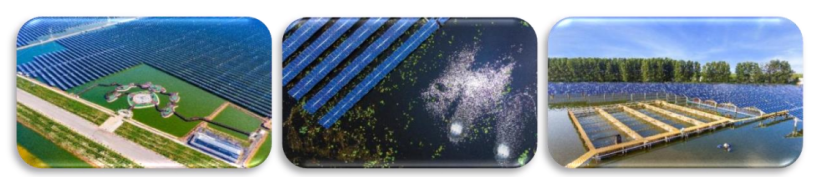 3a1494db464caabff630f65c8b1b9e18