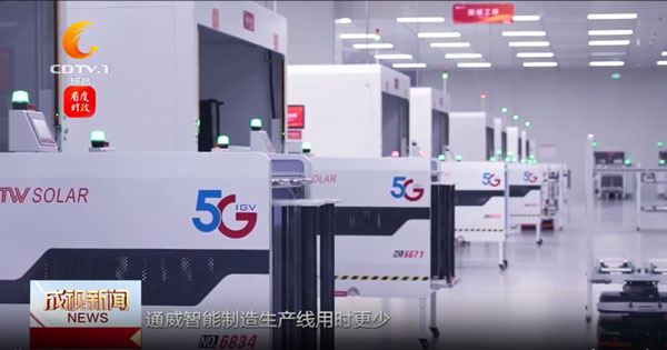 35d9942ae48d46c304eb918bf36e781a