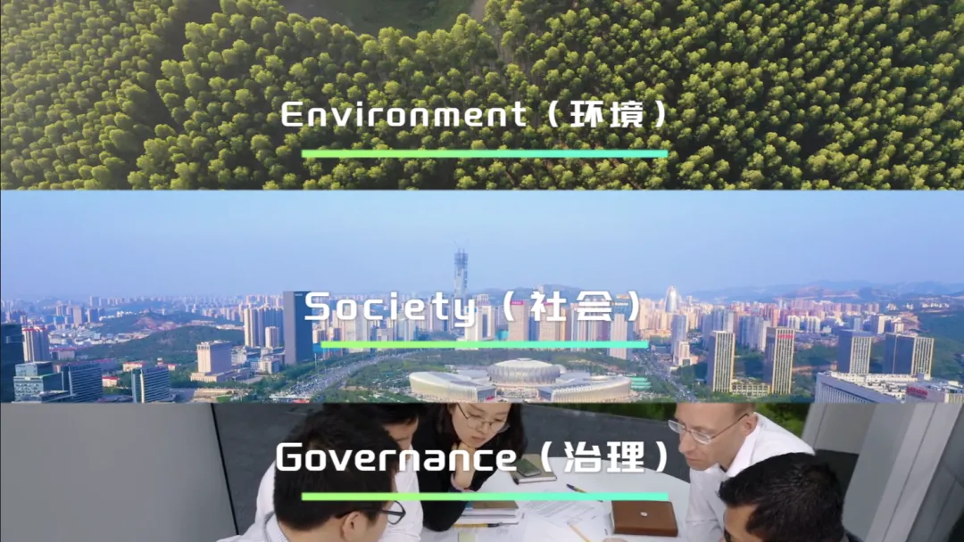 亚洲必赢国际·437ccm(中国区)官方网站