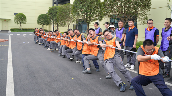 70ddfa8849847df47660e9bf5545d04a