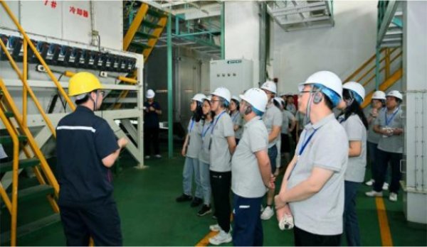 7afbfddf198d24faf3e7054e3422f225