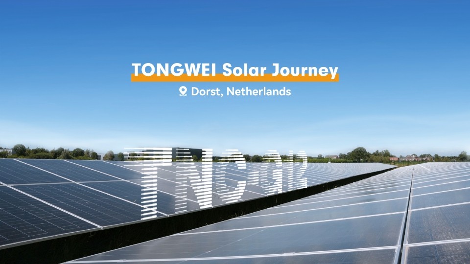 3b3dde83eefc069522e89fd4fa97ae63