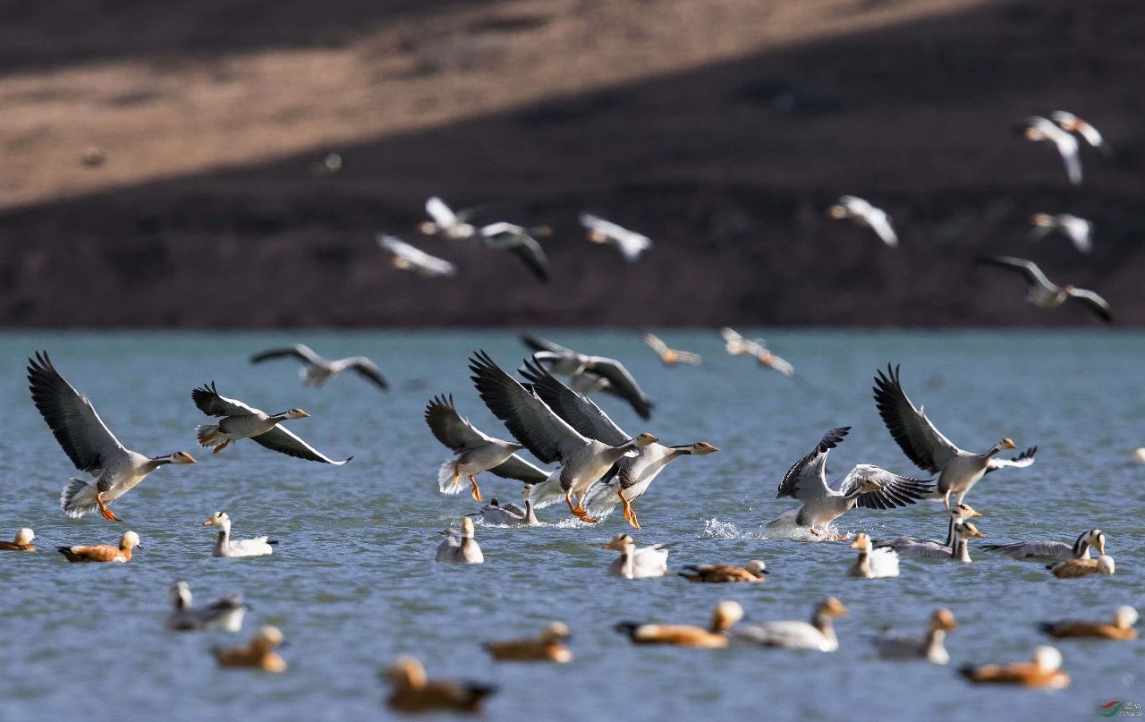 亚洲必赢国际·437ccm(中国区)官方网站