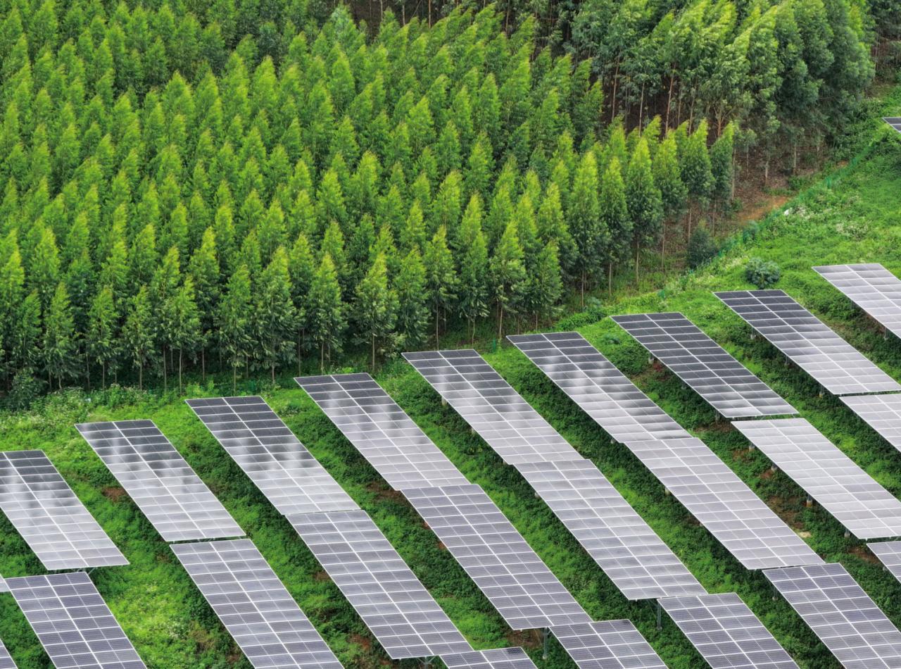 亚洲必赢国际·437ccm(中国区)官方网站