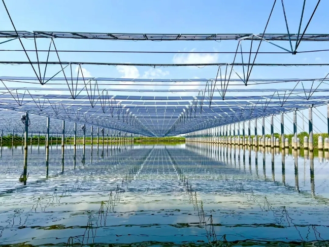 亚洲必赢国际·437ccm(中国区)官方网站