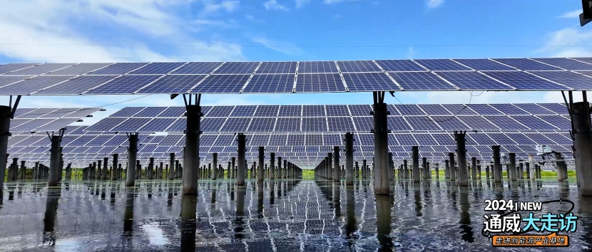 亚洲必赢国际·437ccm(中国区)官方网站