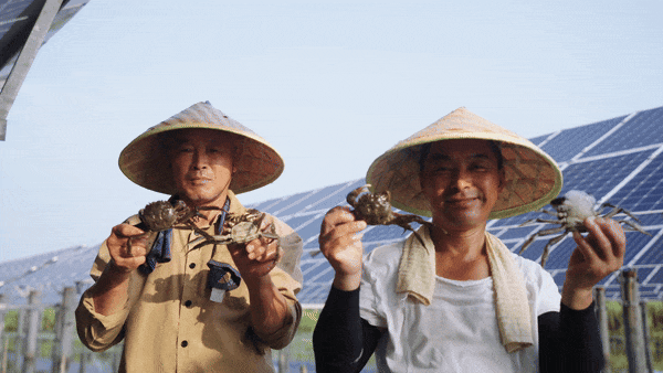 702cd0bdee115ffafce396dd9a466e37