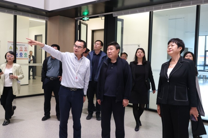 08e435dc18bfe399f2a775d0fca6d065