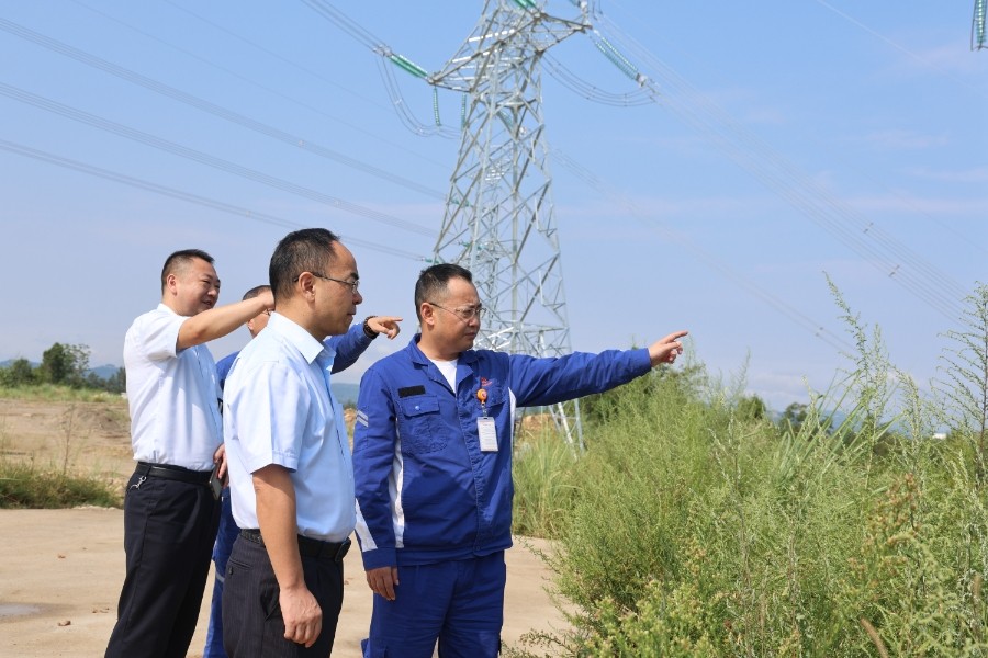 6c8d35f7f6bae9adb6d00fd77df85ff8