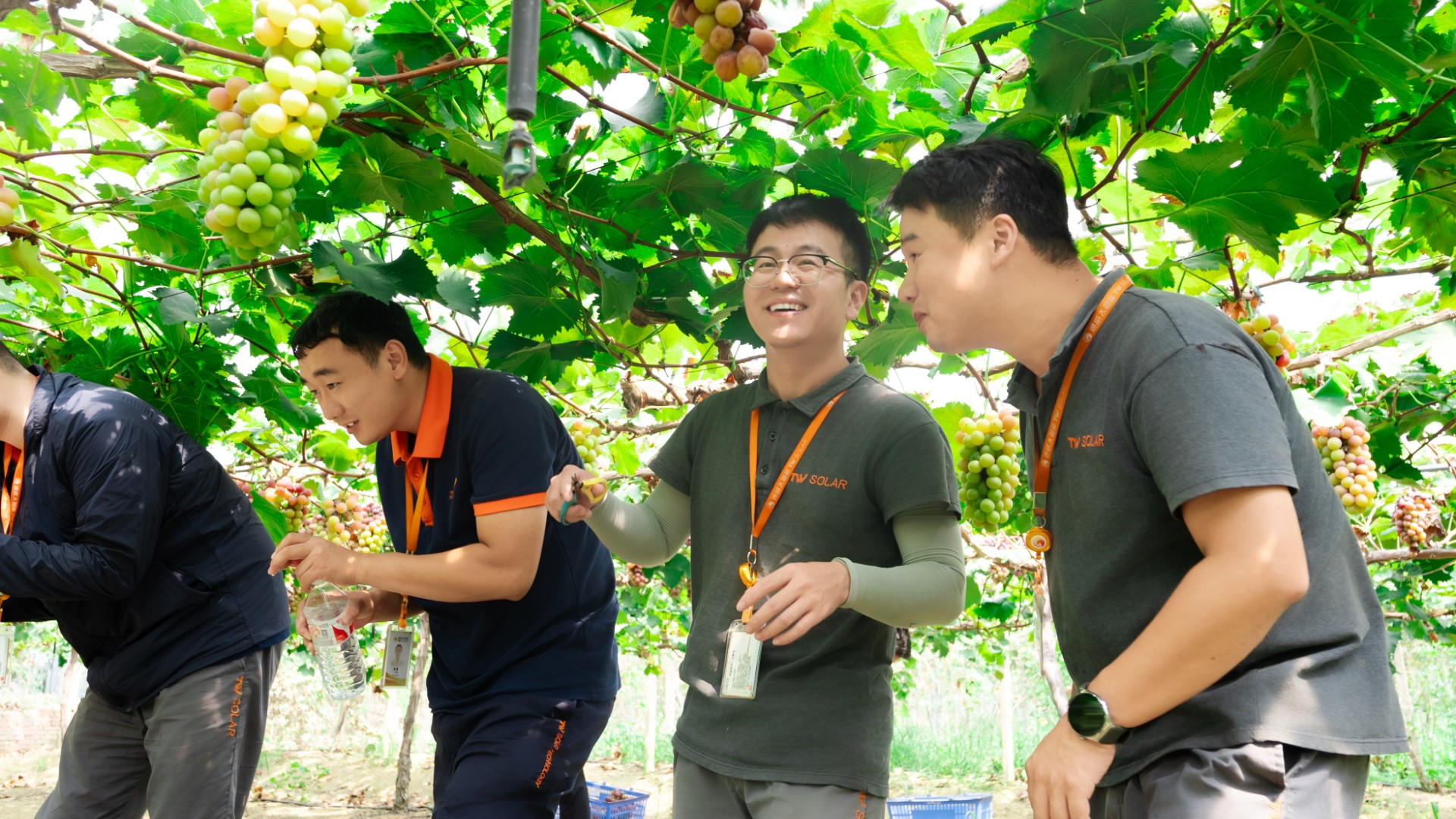 cb6775f700a40bc4576cfee81c91d366