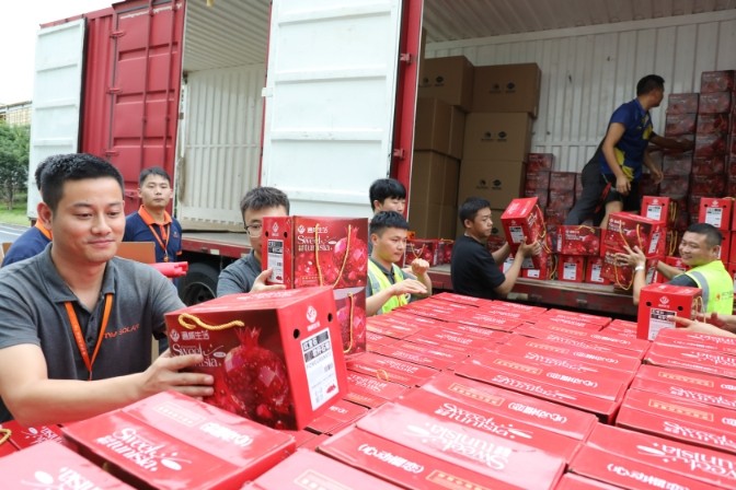 d166e51ff642cf5f6e7a10d5cb048101