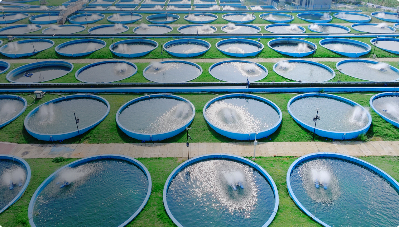 b90036a712ed33efe311e1d161b26cef