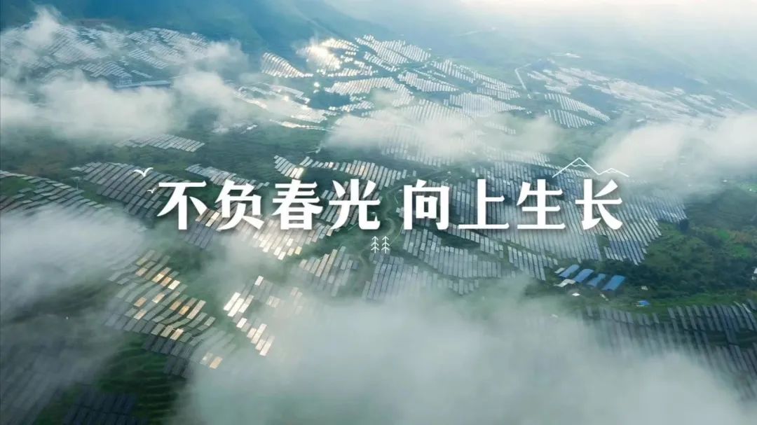 b528efb6deeca47e549459b80cb8b882