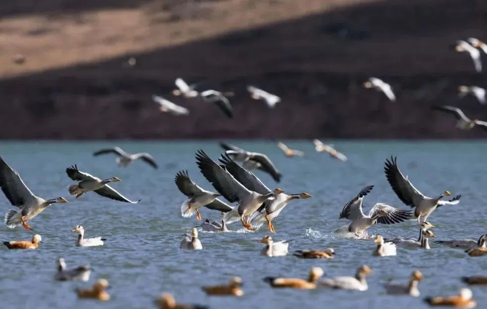 57375403c8b93c396c3f929eca4c54e7