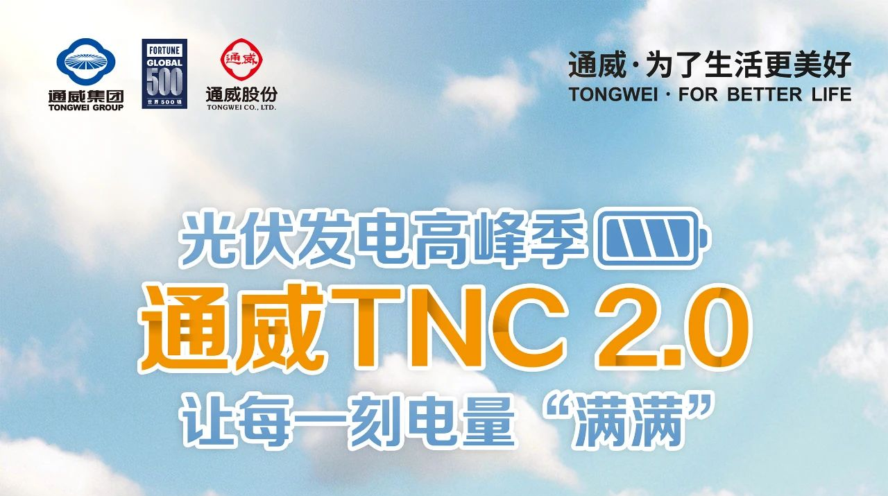 2161cfc72ffc53bec16892a0e990b041