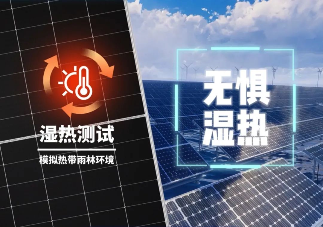 e7418c0ae19803c446c45fa1035a56df