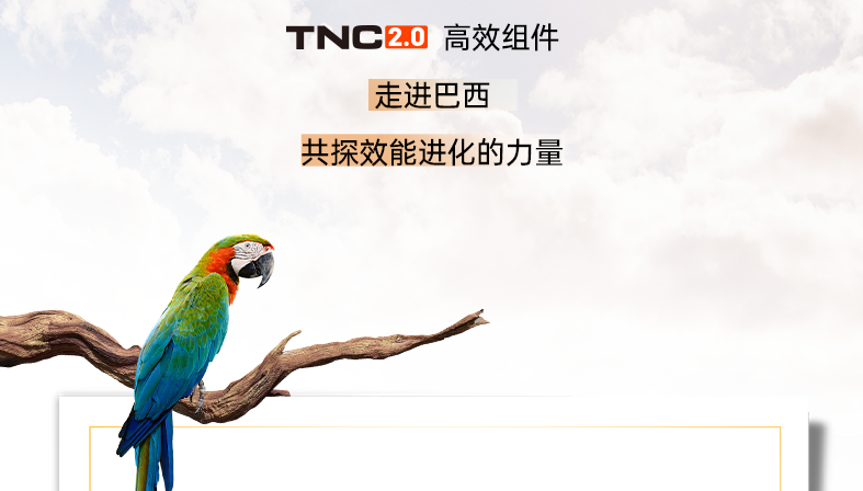 03db83cd61a8ddf38f1a05b62d361268