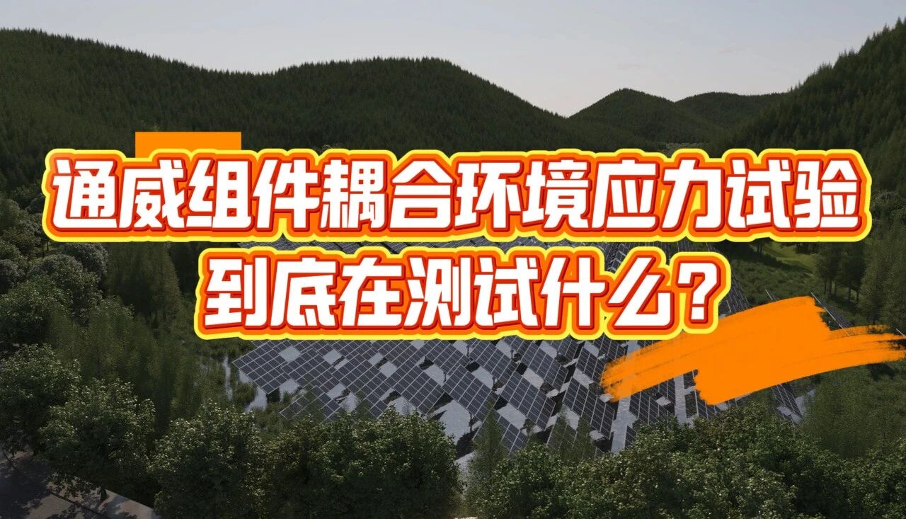 351c639ad67c9fc9ae1353aa385e97a5