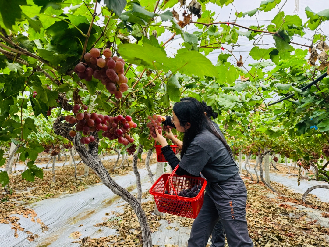 6aabffe82ac3ceb0257dbc68c3ffbad9