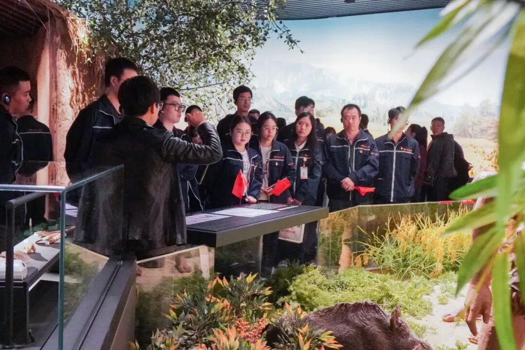 6547b7aec3fc1d462af174688b659e7a