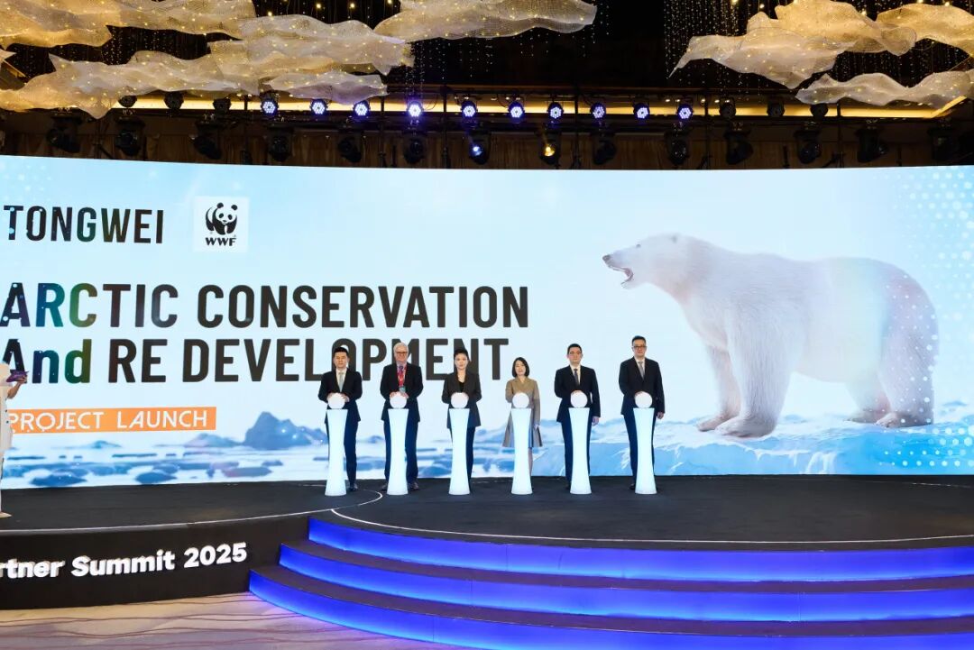 6ca426364b46ddf2604f45d1568f4641