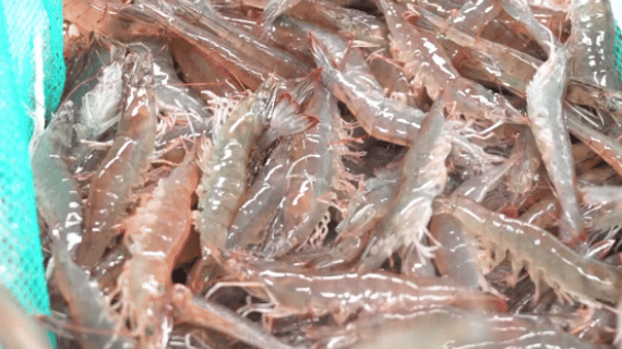 70bff69532084faff0c6113dd8990838