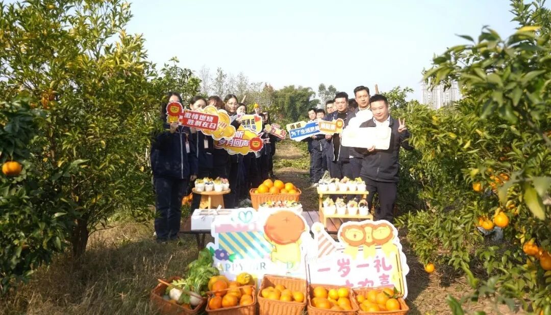 c933b10897efaeba6de861663e1e937b